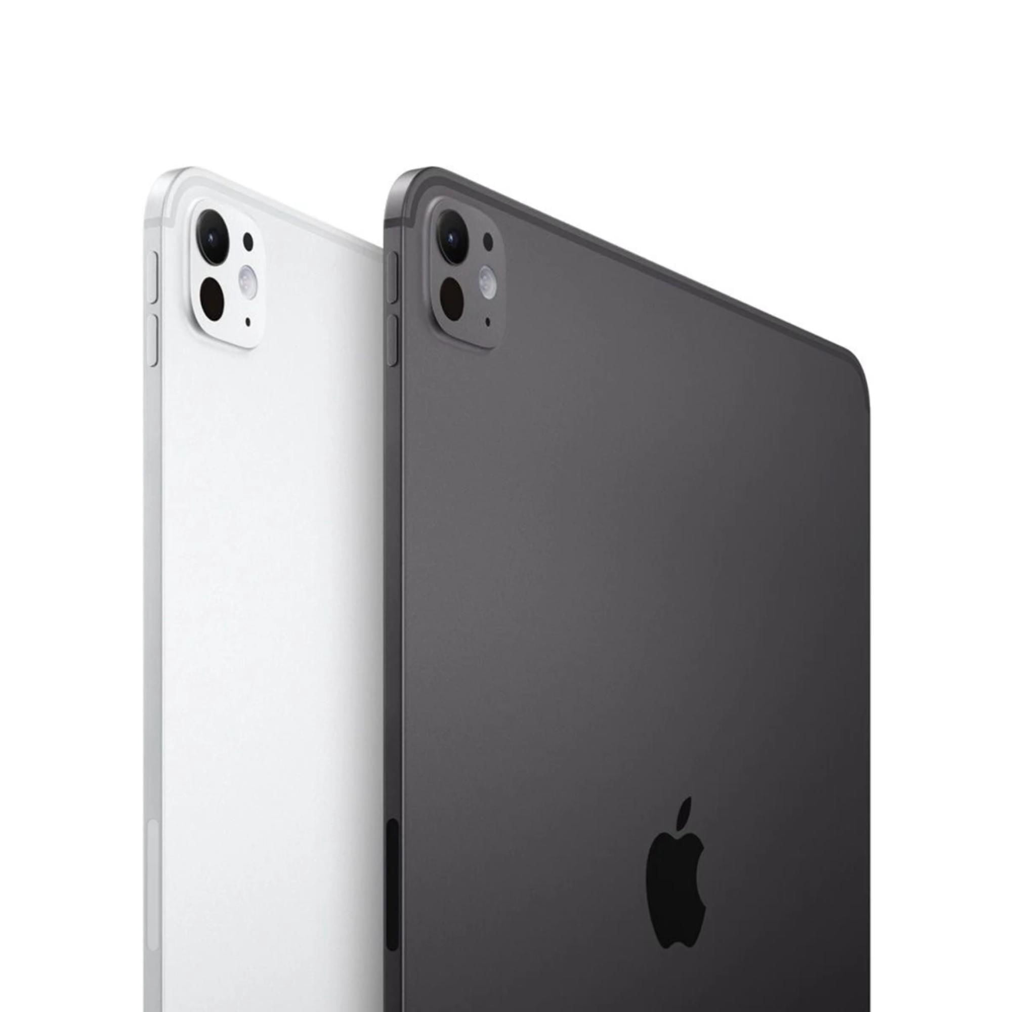 iPad Pro（M5）13インチ Wi-Fiモデル 258GB iPad Pro 13 M5 Wi-Fi + Cellular pantalla estandar 256GB negro