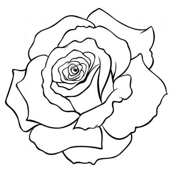 Decomural Rose Petals Floral Flowers WS-35740