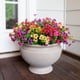 thumbnail image 5 of Flores artificiales HyeFlora Daisy con eucalipto, 12 paquetes, 5 of 7