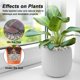 thumbnail image 3 of Piedras de río Virekm 2,3 kg – Piedras decorativas naturales, 3 of 9