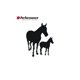 thumbnail image 3 of Alimento Para Caballos Performance Crianza - 25 Kg, 3 of 3