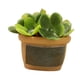 thumbnail image 5 of 1/12 Casa De Mu?ecas Resina Mini Bonsai Suministros De Paisaje Para Decoración De Balcón Estilo D, 5 of 5