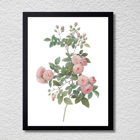 CUADRO DECORATIVO 35X45 BOTÁNICA RAMILLETE DE ROSAS POMPON (ROSA DE MEAUX)