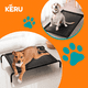 thumbnail image 5 of Cama Refrescante En Altura Para Perros Gatos Elevada, Talla M, 5 of 6