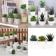 thumbnail image 5 of Juego de 3 suculentas artificiales pequeñas, decoración moderna para el hogar, la mesa, la oficina, el escritorio, el baño y los estantes., 5 of 5