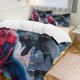 thumbnail image 3 of Spider Man 3 Piece Sets Reversible Microfiber Quilts with 2 Shams Soft Lightweight Bedspread Coverlet Comforter, 3 of 3