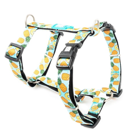 Max & Molly - Arnés Perro H Sweet Pineapple