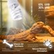 thumbnail image 2 of Bombilla UVB ReptiKing 24W 10.0 (paquete de 2) para reptiles del desierto, 2 of 6