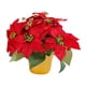 thumbnail image 5 of Planta De Poinsettia Roja Artificial De Navidad De Poinsettia Roja En Maceta Para Mesa, 5 of 5