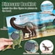 thumbnail image 5 of Figuras jurásicas realistas de Dinosaur Toys OENUX con folleto, de 3 a 5 años, 5 of 8