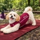 thumbnail image 4 of Playera sin mangas para perro Pet Life Active Racerbark para fitness, 4 of 9