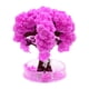 thumbnail image 2 of Kit De Cultivo De Cerezos En Papel: El árbol Crece En Horas Kit De Experimentos Científicos Para Hacer Uno Mismo, 2 of 5