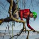 thumbnail image 4 of Casco para arboricultura Pfanner Protos Integral Negro, 4 of 6