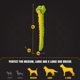 thumbnail image 5 of Juguete para perros Bite Force Serpiente Deslizante - Verde - Con chirrido, 5 of 8