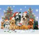 thumbnail image 1 of Rompecabezas Bits and Pieces Navidad Canina 300 piezas 46x61 cm, 1 of 9