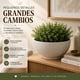 thumbnail image 3 of Macetero Plastico Semi Esfera Premium Diseño a Rayas S beige, 3 of 9