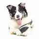 thumbnail image 3 of Juguete Perro Vibrant Life Pato Látex Nivel 3 Mediano, 3 of 3