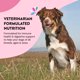 thumbnail image 5 of Suplemento diario para perros HAPPY GO HEALTHY Bienestar Diario 120 unidades, 5 of 7