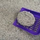 thumbnail image 3 of Arena Sanitaria Aglutinante Iones de Plata  10 kg LAVANDA, 3 of 4