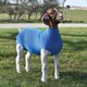 thumbnail image 4 of Tubo de Spandex Azul para Cabra – Weaver Livestock, 4 of 5