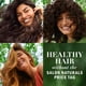 thumbnail image 3 of Set Shampoo Acondicionador Herbal Essences Repair 1195 ml, 3 of 3
