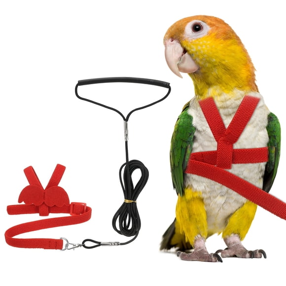 Arnés y Correa para Aves Uxcell, Arnés y Correa para Loros con Alas Lindas para Loros (Rojo, S)