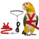 thumbnail image 1 of Arnés y Correa para Aves Uxcell, Arnés y Correa para Loros con Alas Lindas para Loros (Rojo, S), 1 of 7