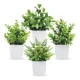thumbnail image 1 of Norplat 4 Plantas Artificiales Decorativas Hogar Macetas, 1 of 3