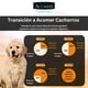 thumbnail image 5 of Alimento para perro cachorro 10Kg, 5 of 5