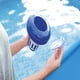 thumbnail image 2 of Porta Cloro Flotante Bestway, 2 of 5