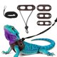 thumbnail image 1 of Uxcell Arnés y Correa para Dragón Barbudo, Arnés de Dinosaurio Ajustable de Cuero Suave con Cuerda de Tracción (S/M/L, 3 Piezas, Marrón), para Dragón Barbudo, Reptil, Ardilla, Rata, 1 of 7