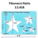 thumbnail image 3 of Plantilla de estrella con proporción áurea Fibonacci CLPA de 15 cm, 3 of 7