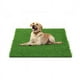 thumbnail image 4 of Alfombra Baño Ecológico Sanitario para Mascotas 46x71cm, 4 of 4