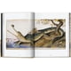 thumbnail image 4 of Walton Ford. 40th Ed., 4 of 5