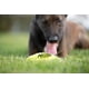 thumbnail image 2 of Pelota de fútbol de goma para perros Nerf Dog Toy con chirriador, para tamaño mediano/grande, 2 of 3