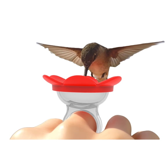 Alimentador de colibrí ZUMMR rojo de mano - Fabricado en EE. UU.