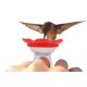 thumbnail image 1 of Alimentador de colibrí ZUMMR rojo de mano - Fabricado en EE. UU., 1 of 8
