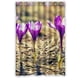 thumbnail image 1 of Cortina de ducha con diseño de tulipanes rosas y ganchos, tamaño 48 x 72 pulgadas, 1 of 3