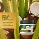 thumbnail image 3 of Mascarilla para el Cabello Herbal Essences Para Pelo Intensiva Leche de Coco Y Aloe, 3 of 5