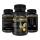 thumbnail image 1 of Vitamina VITOFARMA Gallobiotic 100 comprimidos para gallos y gallinas, 1 of 5