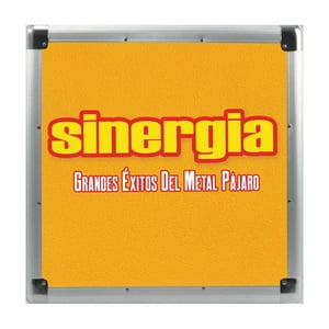 Grupo Laser Disc - Vinilo Sinergia/ Grandes Éxitos Del Metal Pájaro 1Lp