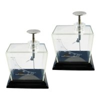 Magideal - Electroscopio De Hoja, Experimento De Física, Electroscopio De Lámina, Electrómetro Para Laboratorios, Instrumento De Enseñanza Eléctrica, Aparatos De