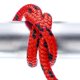 thumbnail image 3 of Tracer Dock Rope SEACHOICE 42421 de 1 cm x 4,5 m, rojo y negro, 3 of 6