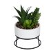 thumbnail image 3 of Mainstays Agave Sedum Suculenta Artificial 6,5 pulgadas, 3 of 3