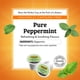 thumbnail image 2 of Cápsulas de té de hierbas Twinings Pure Peppermint K-Cup, 24 unidades, 2 of 6