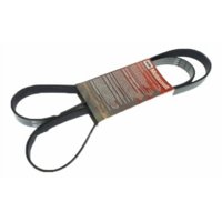 Motorcraft - Correa 2 Accesorios Ford F-150 5.0 2015-2020