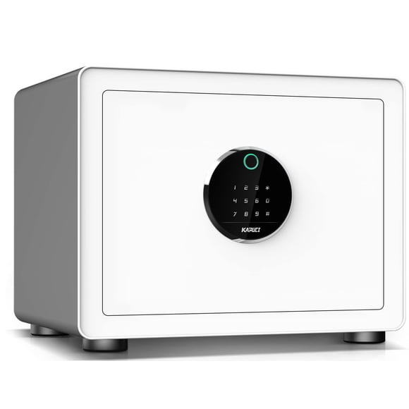 Huella Digital Biométrica De Diseño Minimalista Moderno De Safe