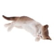 thumbnail image 5 of Simulación Animal Modelo Ni?os Juguetes Educativos Panda Lado Durmiendo Pl127 1514, 5 of 5