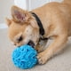 thumbnail image 5 of Bola Rompecabezas para Perro Glory To Dog XS Azul – Juguete de Olfato, 5 of 8