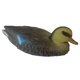 thumbnail image 1 of 3D caza flotante realista drake pato se?uelo se?uelo pato femenino, 1 of 5